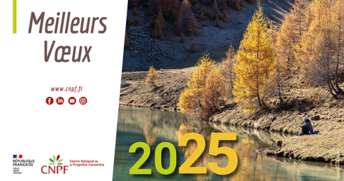 Meilleurs vœux pour 2025